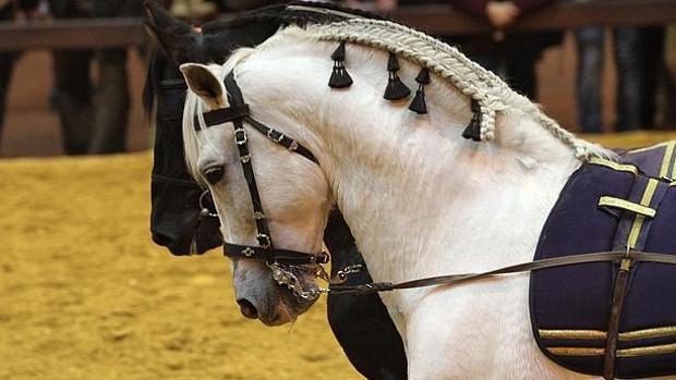 Sicab 2020 se adelantará a octubre y la entrada será gratuita