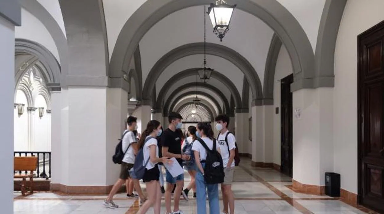 Estudiantes en la Univesrsidad de Sevilla