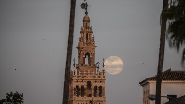 Google se hace un lío con Sevilla: del «Giraldo» a los «castillos adornados del Alcázar»