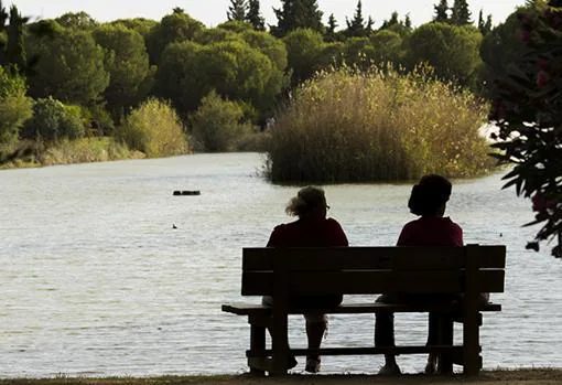 Los mejores parques y zonas verdes de Sevilla para disfrutar del otoño al aire libre