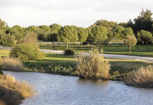 Los mejores parques y zonas verdes de Sevilla para disfrutar del otoño al aire libre
