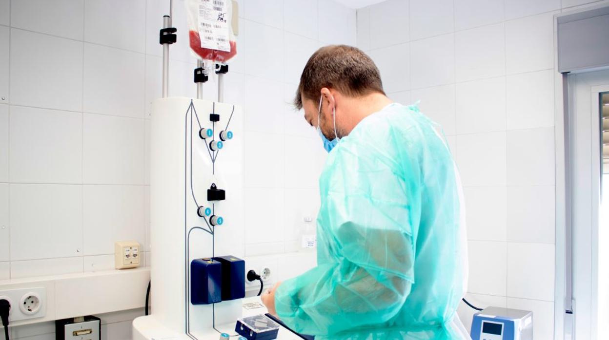 Un investigador durante el tratamiento de linfocitos en los laboratorios del Hospital Virgen del Rocío
