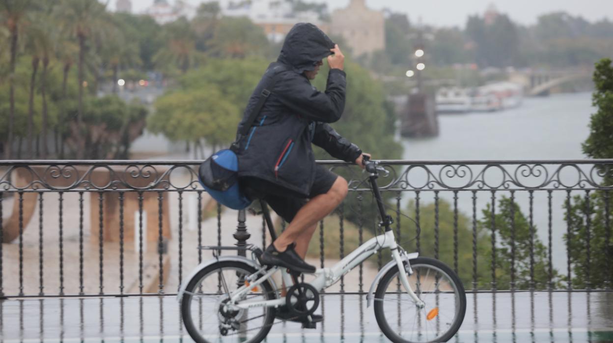 Una borrasca dejará en Sevilla fuertes lluvias y tormentas