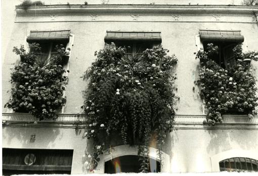 Tres ventanas repletas de plantas en la calle Céspedes en 1984