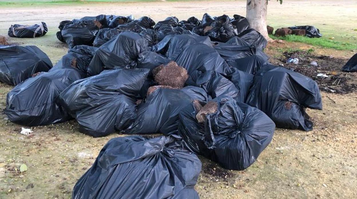 Las bolsas con los restos de las plantaciones de marihuana han aparecido en diferentes días