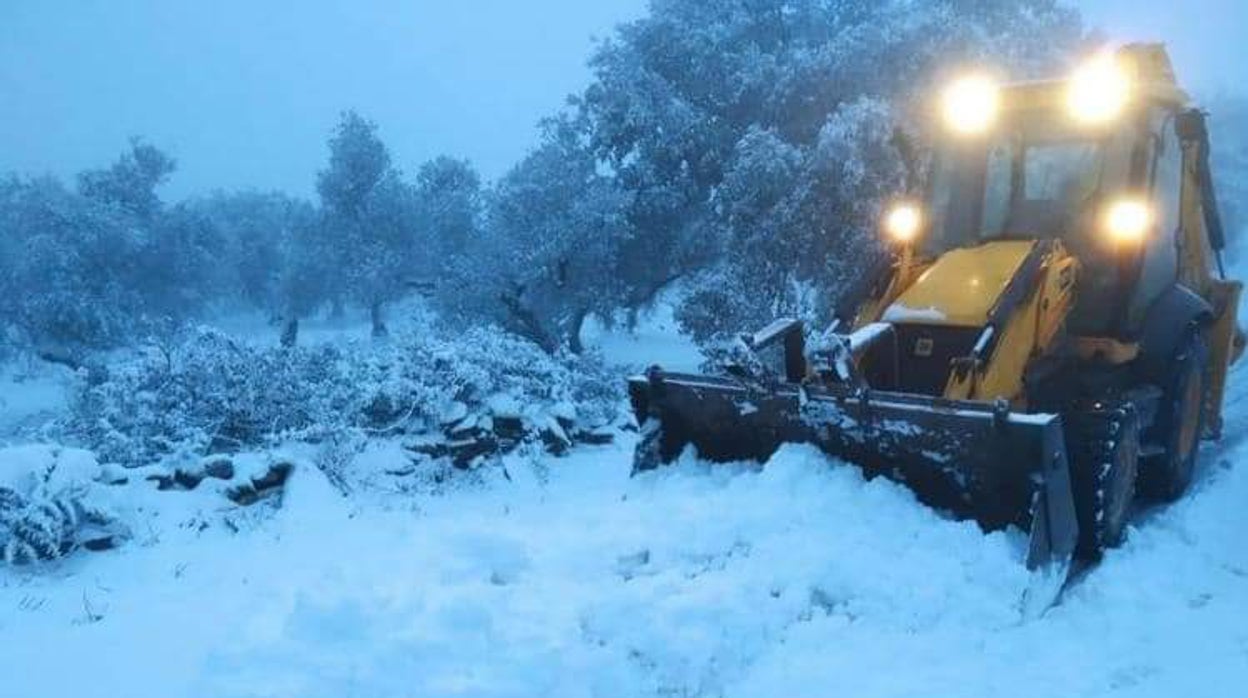 Nieve en Guadalcanal