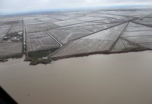 Vista área de las tablas de arroz con decenas de canales y caminos