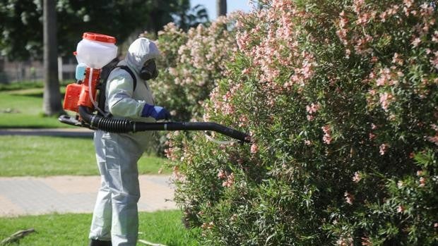 «El virus está presente todo el año, ya es endémico en muchas aves»