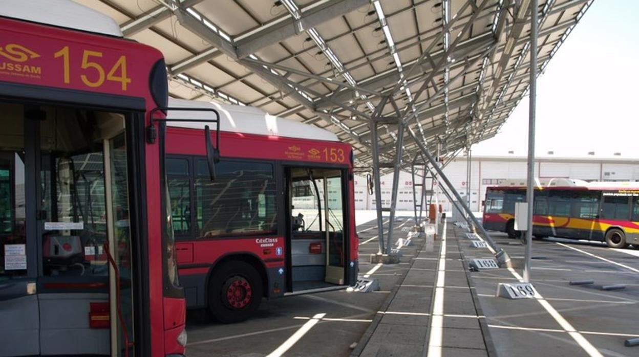 Los nuevos autobuses de la línea 3 se pondrán en marcha este lunes