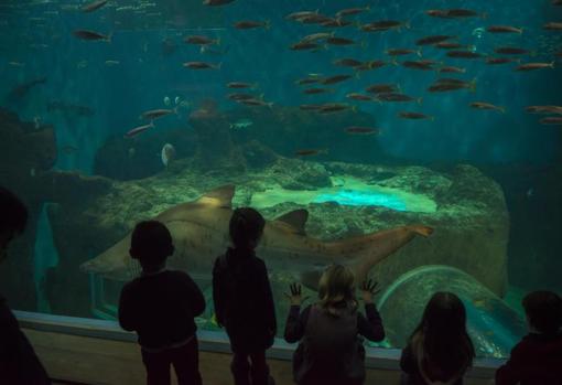 Acuario de Sevilla