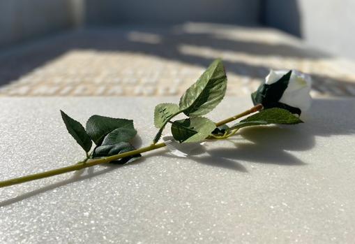 Rosa de tela que deja la empresa tras la visita y limpieza