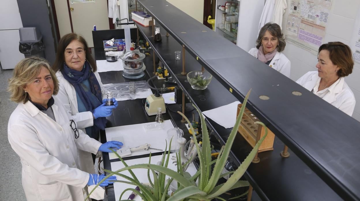 Ángeles Fernández Arche y su equipo