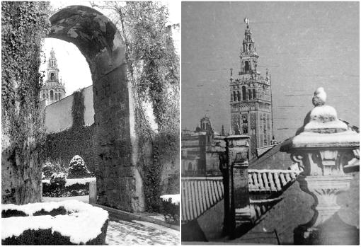 La Giralda desde varios puntos de la ciudad nevada