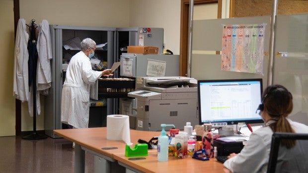 Medio centenar de médicos sevillanos pidieron en 2021 certificados de idoneidad para trabajar en el extranjero