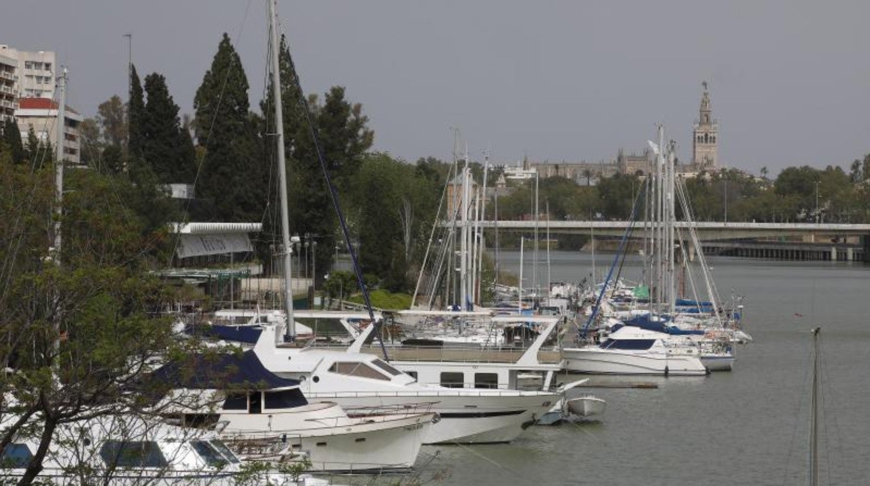 Yates atracados en el Náutico