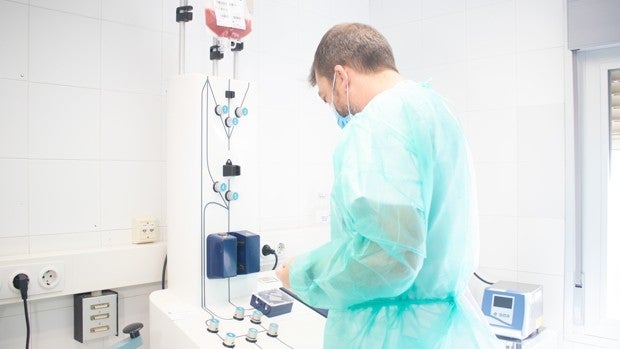 El Virgen del Rocío de Sevilla bate el récord de trasplantes de médula en España