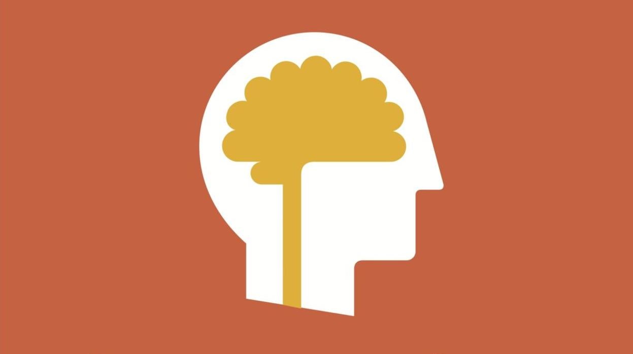 Basta ejercitar nuestra mente entre 15-30 minutos al día para mejorar nuestras habilidades cognitivas