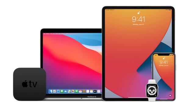 Cómo instalar las betas públicas de iOS/iPadOS 14