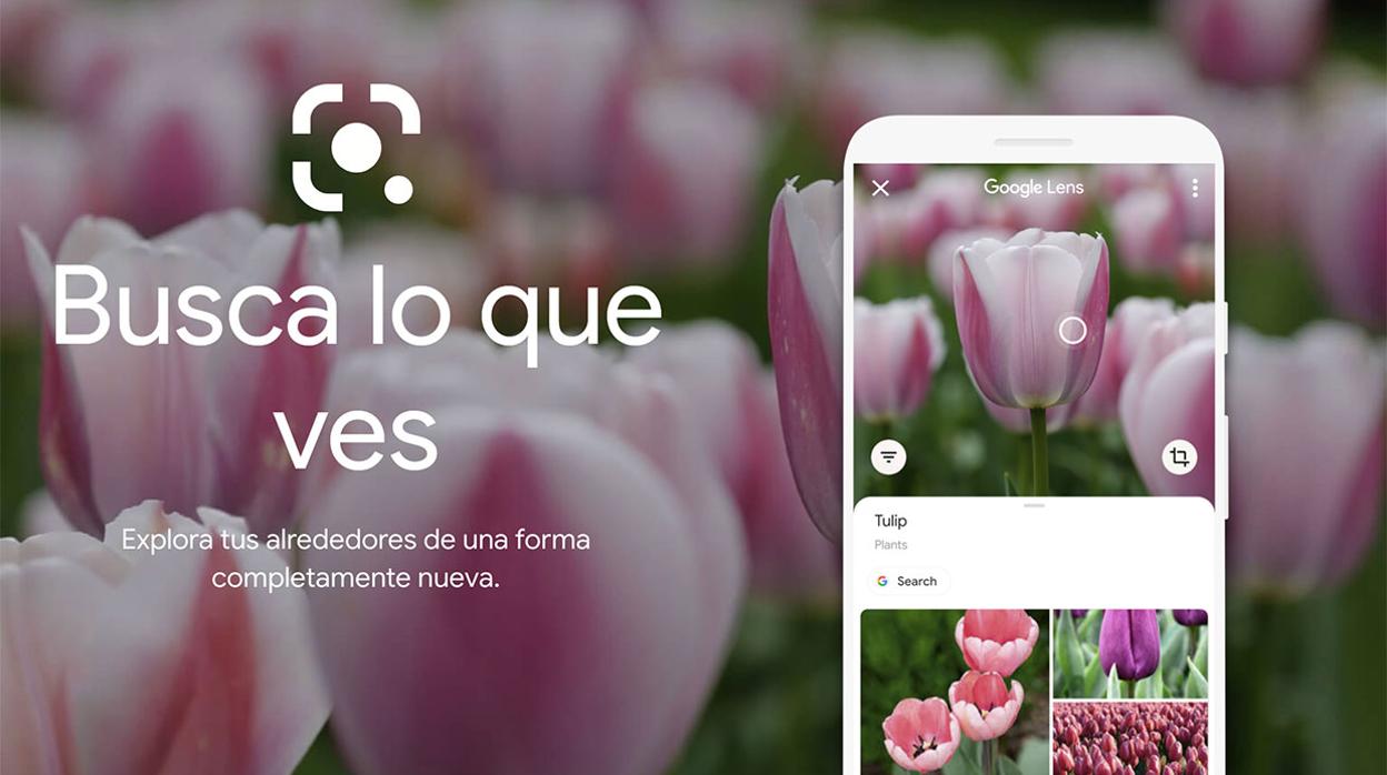 Google Lens ofrece grandes posibilidades