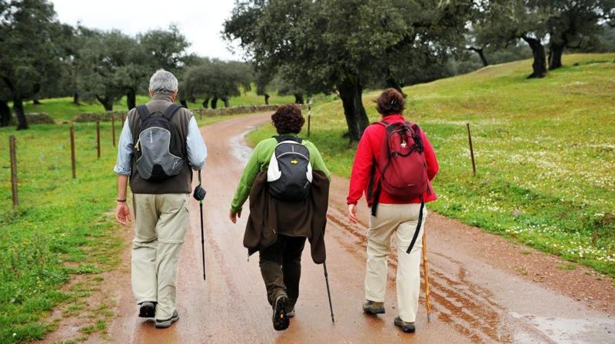 Camino Mozárabe desde el Campo de Gibraltar