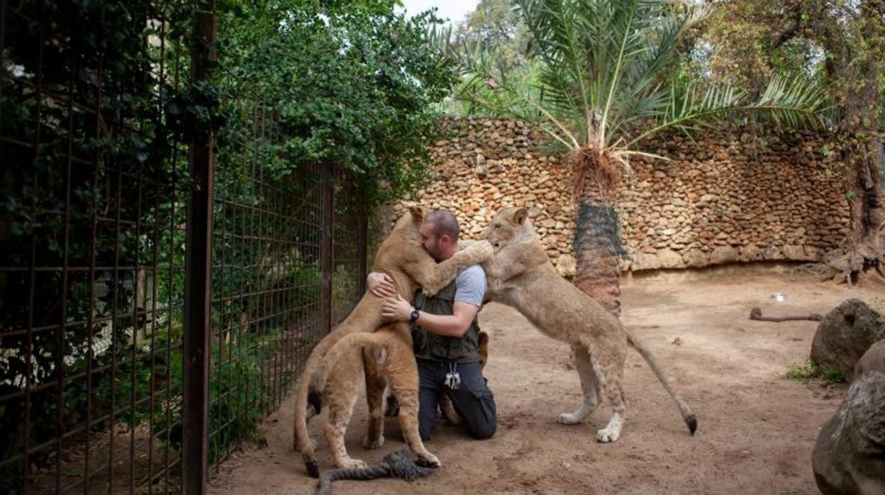 Uno de los cuidadores del zoo con algunos de los ejemplares que podemos ver en la visita