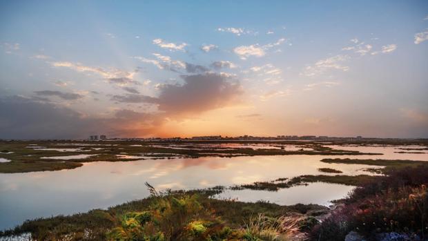 Las marismas del Odiel en Huelva, un paraje natural Reserva de la Biosfera