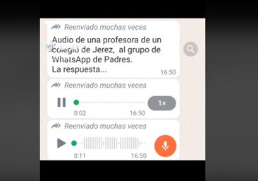 El audio que no tiene desperdicio: la maestra de Jerez que quiere abolir el  Día del Padre