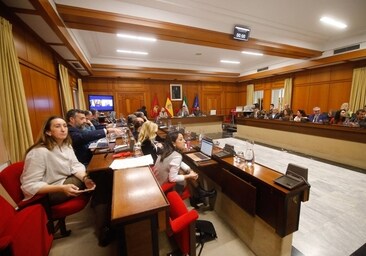 desempleo reembolso Ejecutable Estos son los 29 concejales elegidos para el Ayuntamiento de Córdoba