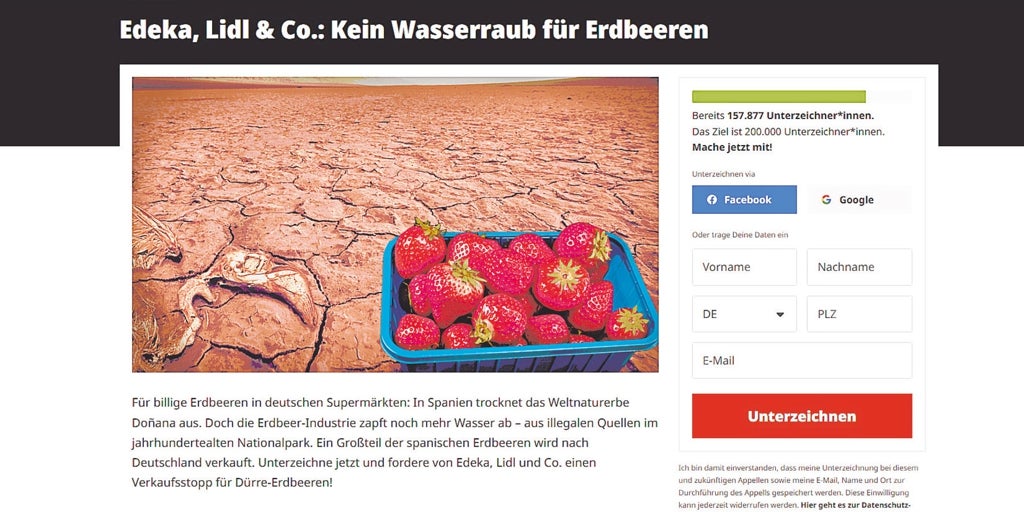 Wer steht hinter der Organisation, die zum andalusischen Erdbeerboykott aufruft?