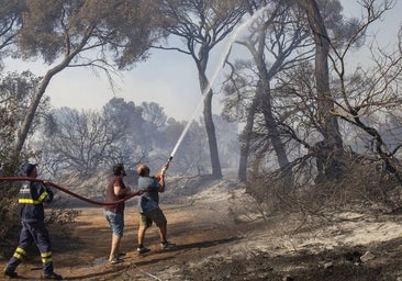 Andalucía controla los incendios forestales y sólo suma 1.326 hectáreas quemadas este año