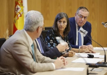 La Fiscalía de Córdoba alerta de la falta de control de los padres al acceso de los niños al porno digital