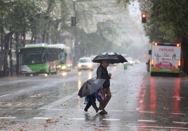 Varios meses de más de 300 litros de lluvia harían que se superara la sequía en Córdoba