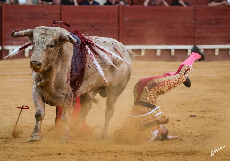 Además de la cornada, el torero cayó peligrosamente sobre el ruedo de la Plaza Real