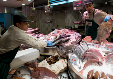 Estos son los pescados con más niveles de mercurio: ¿cuáles son los riesgos para la salud si se consume en exceso?