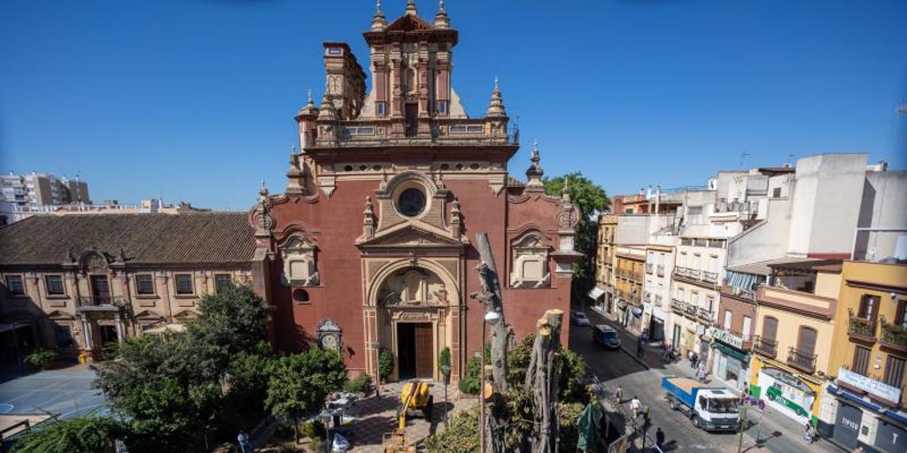 El patio de San Jacinto será público tras asumir el Ayuntamiento de Sevilla el cuidado del ficus