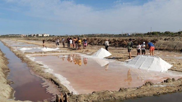 Salinas en Puerto Real