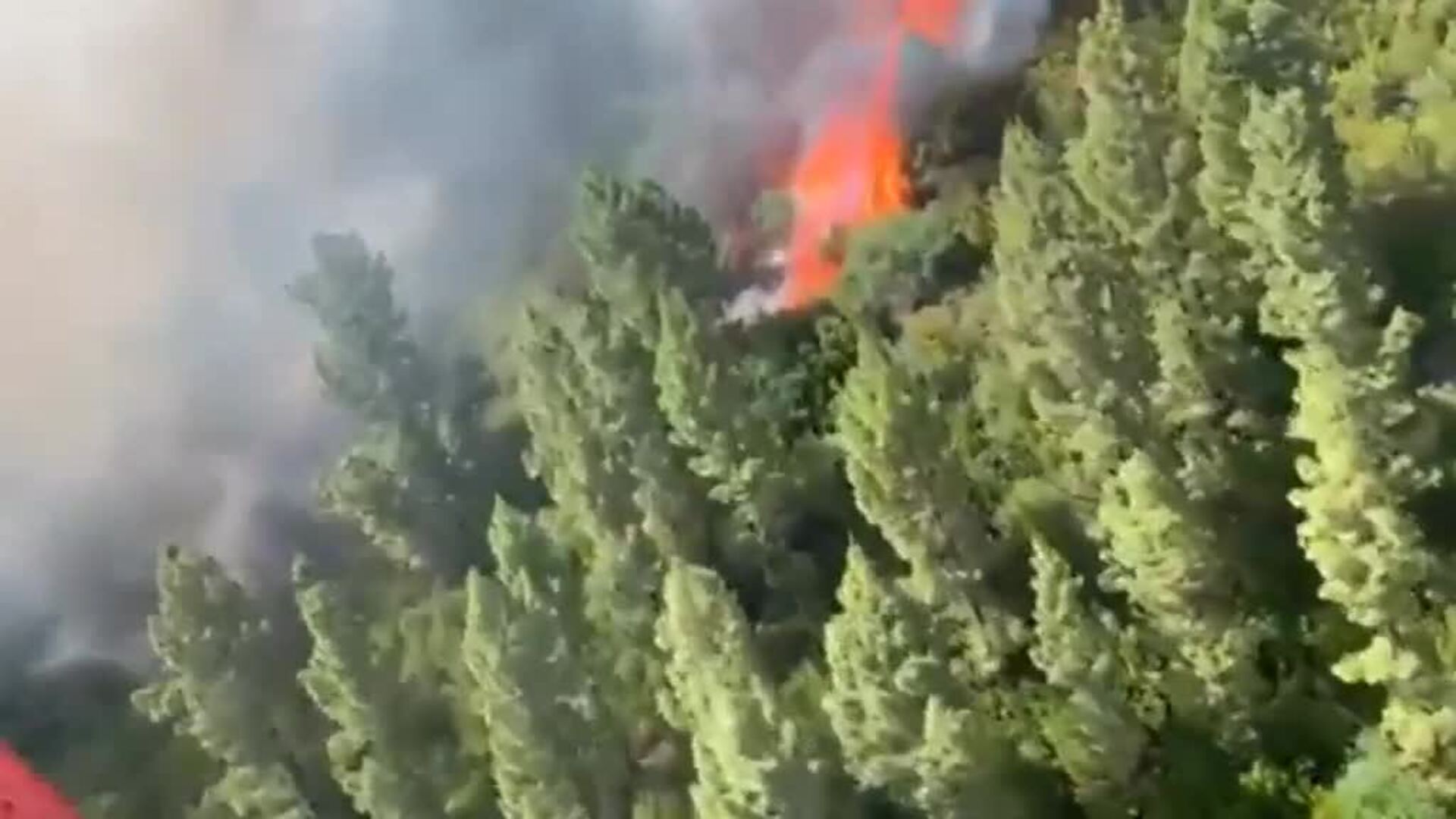 La importante labor de las dotaciones aéreas en la lucha contra los incendios