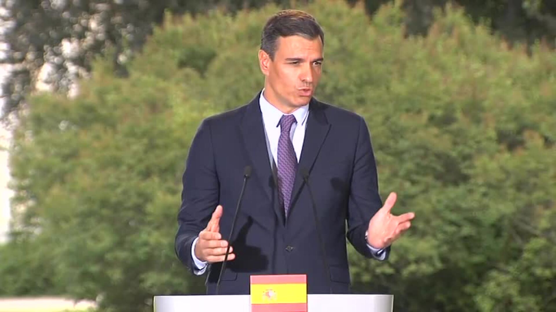 Pedro Sánchez: "Griñán y Chaves pagan justos por pecadores"