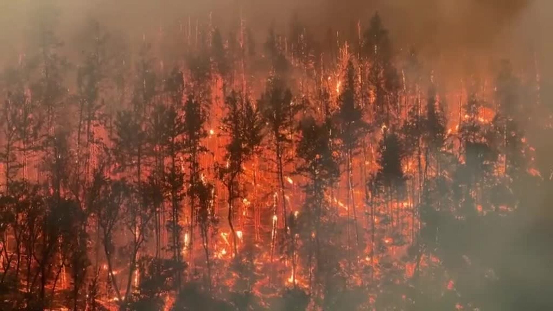 Preocupación por el crecimiento de los incendios forestales en California y Montana