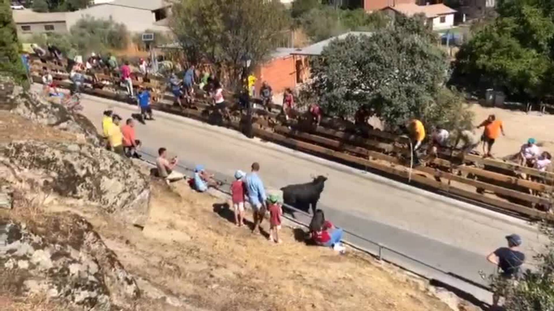 Cogida con doble cornada en el encierro de reses de Colmenar del Arroyo de Madrid