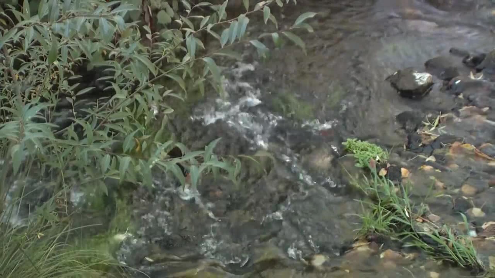 Un recorrido sensorial por la historia de la icónica Destilería de Whisky DYC en Segovia