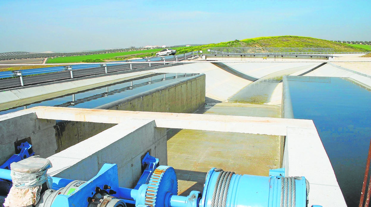 Organizaciones agrarias critican que se amplíen los riegos en el Genil-Cabra a costa de las dotaciones