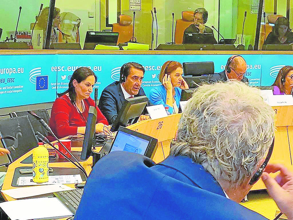 Juan Carlos Suárez-Quiñones interviene en el Comité de las Regiones