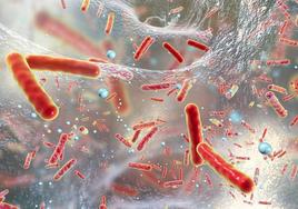 Guerra contra las superbacterias que amenazaron a todo un hospital