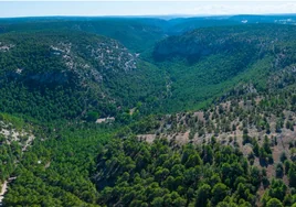 Asilvestrar España para recuperar la naturaleza