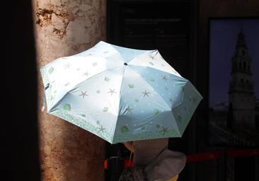Las recientes olas de calor extremo sólo son explicables por el cambio climático
