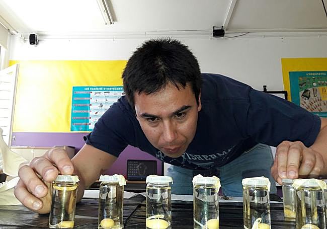 «No tenemos que tener miedo a los tiburones, más bien ellos a nosotros»