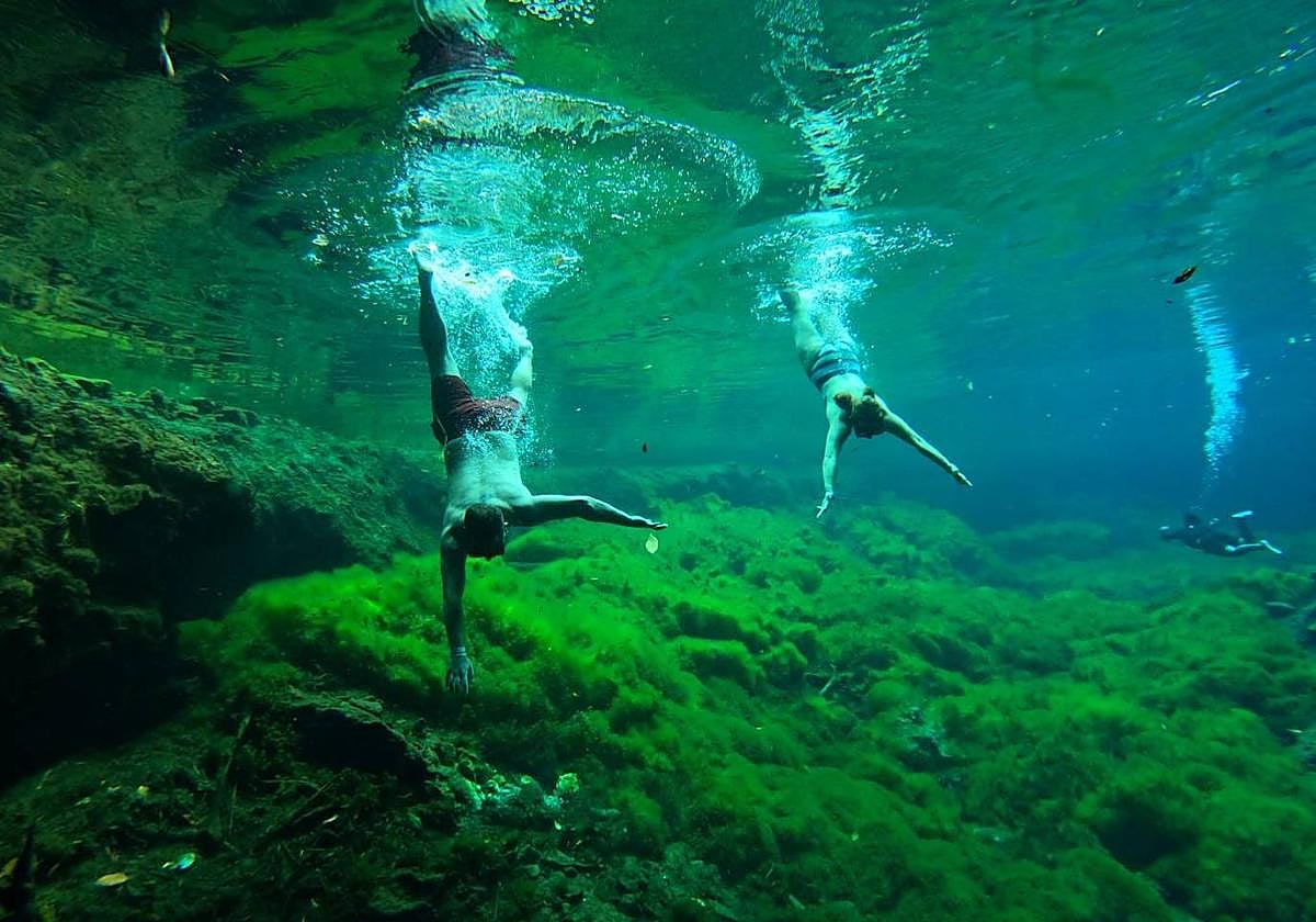 Proyecto de turismo comunitario de los cenotes