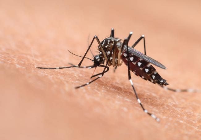 Así afecta a la salud un planeta 2 grados más caliente