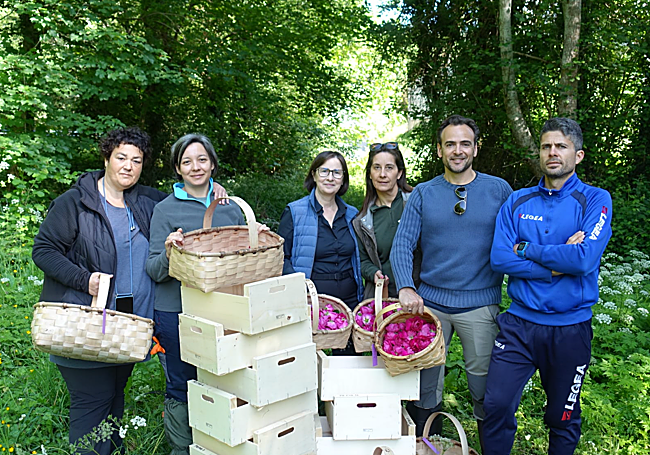 La rosa antigua que se opone a la despoblación rural